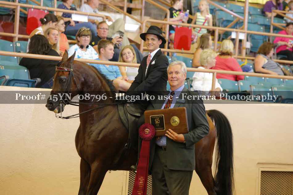 Proof 15YN_08796