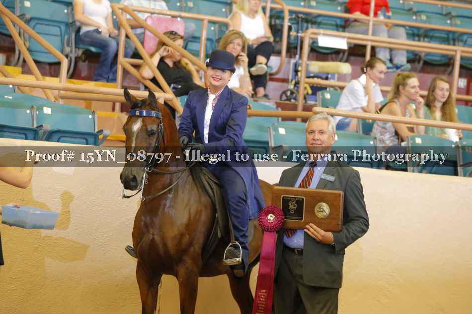 Proof 15YN_08797