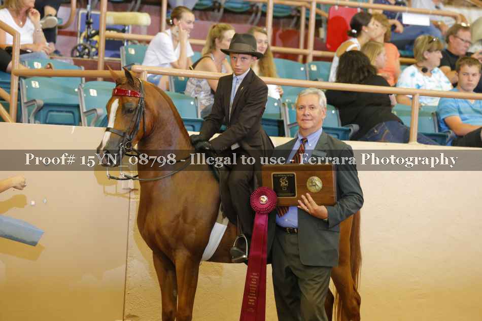 Proof 15YN_08798