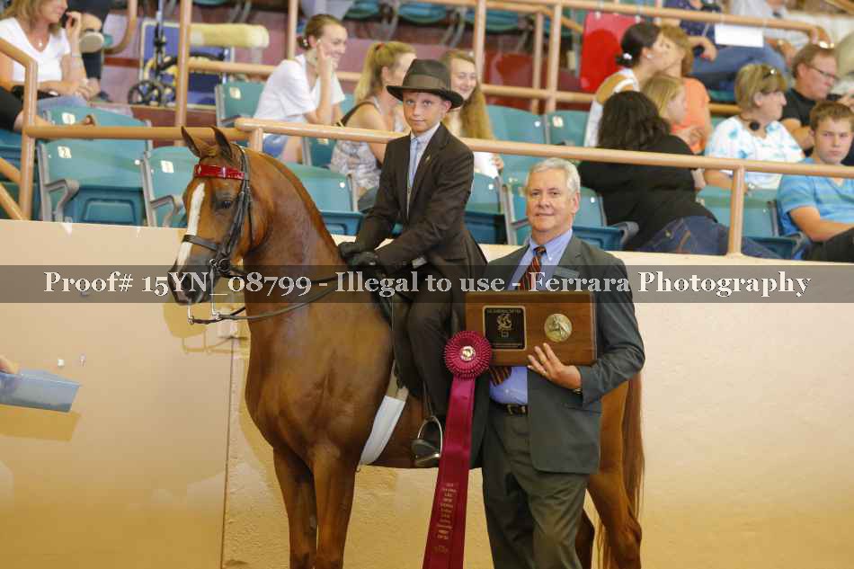 Proof 15YN_08799