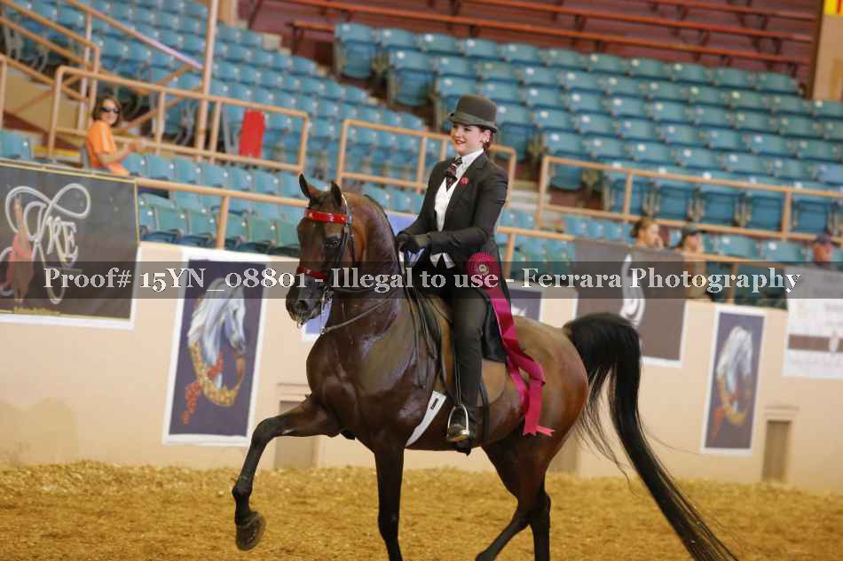 Proof 15YN_08801