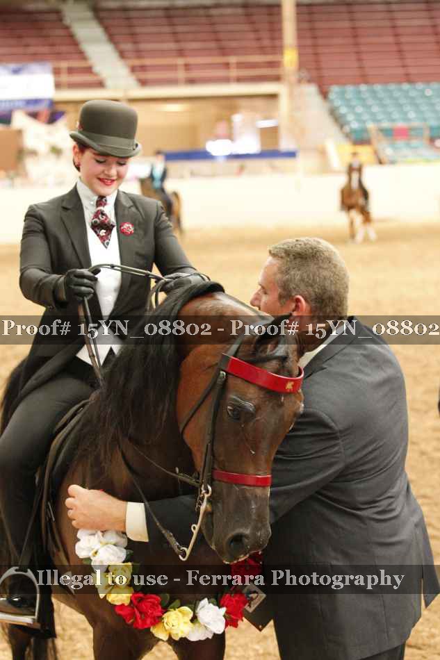 Proof 15YN_08802