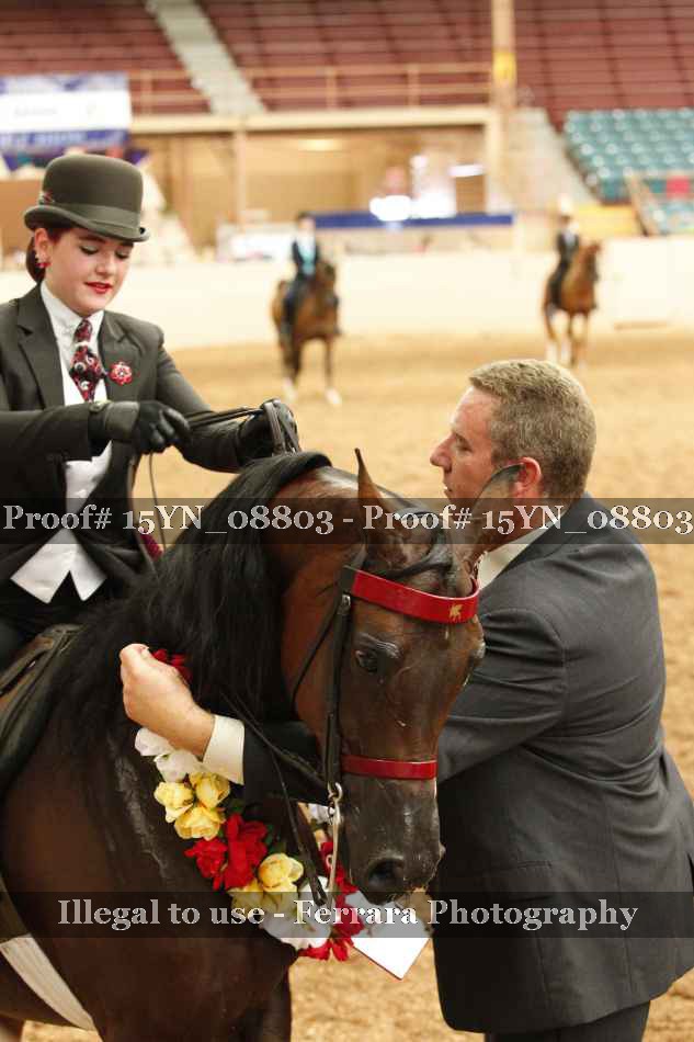 Proof 15YN_08803