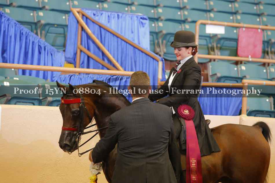 Proof 15YN_08804