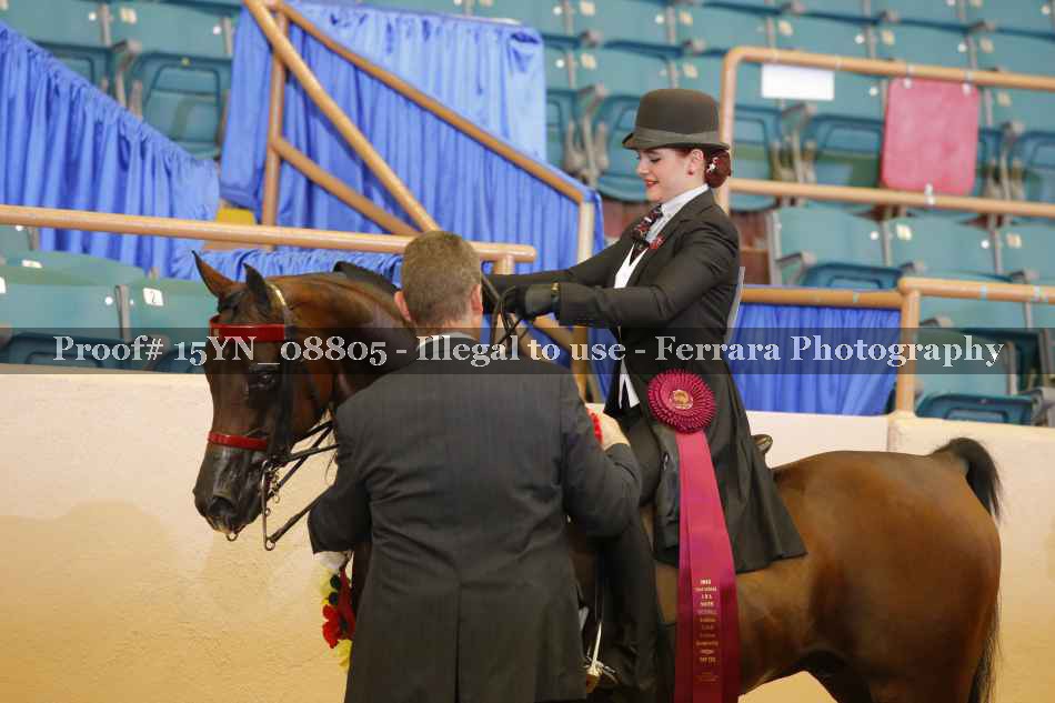 Proof 15YN_08805