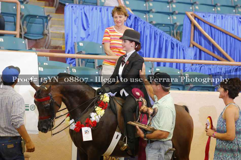 Proof 15YN_08807