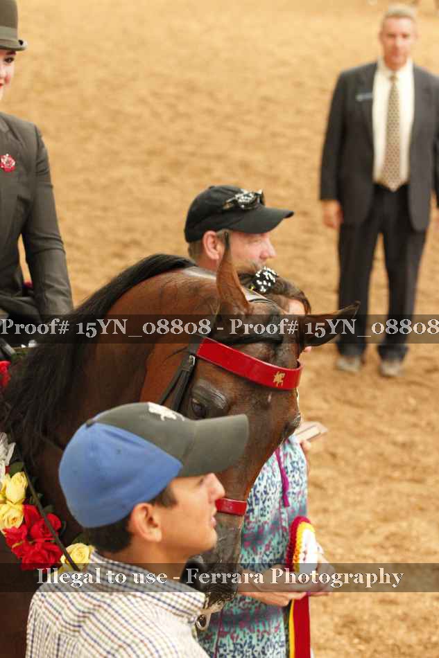Proof 15YN_08808