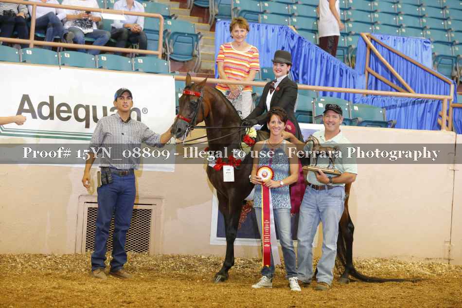 Proof 15YN_08809