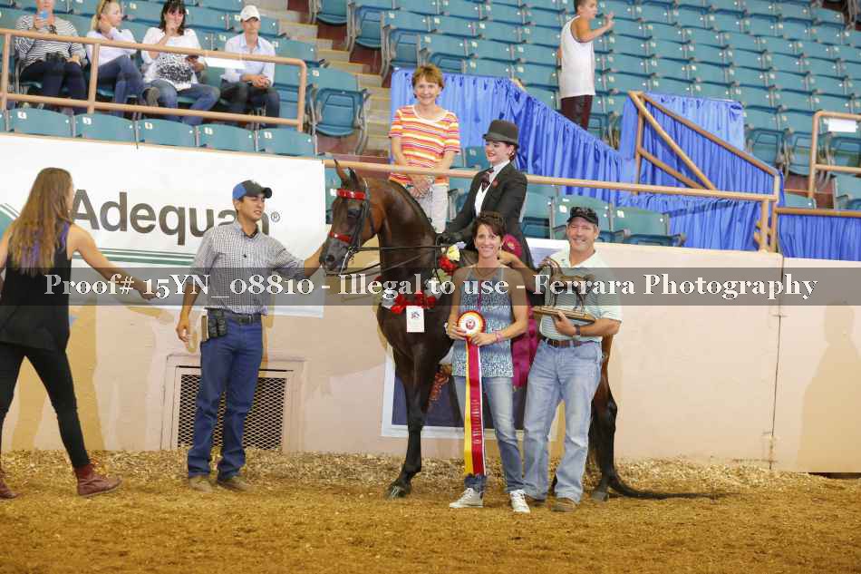 Proof 15YN_08810