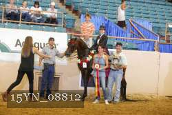 15YN_08812 proof
