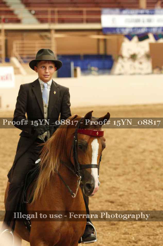 Proof 15YN_08817