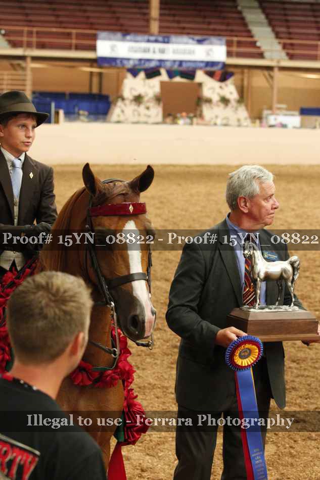 Proof 15YN_08822