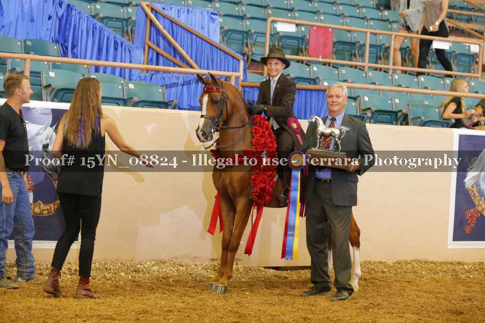 Proof 15YN_08824