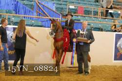 15YN_08824 proof