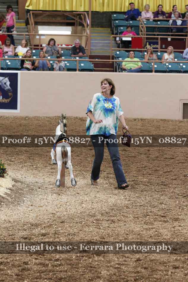 Proof 15YN_08827