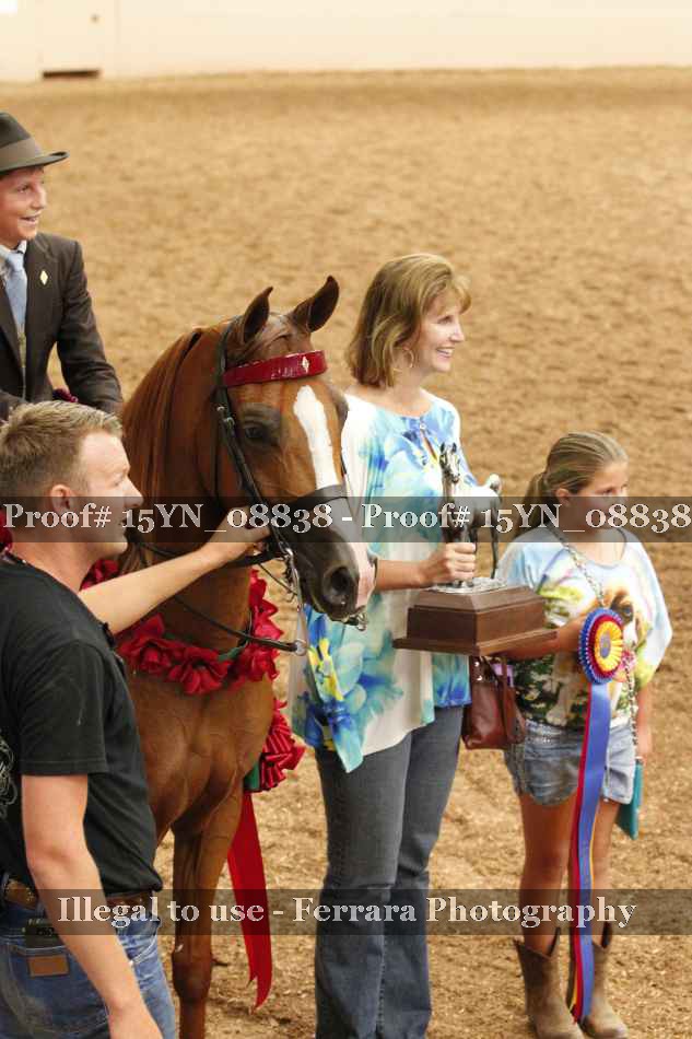 Proof 15YN_08838