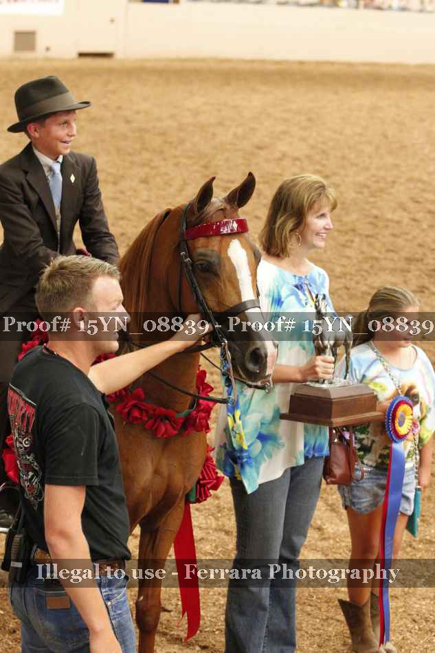 Proof 15YN_08839