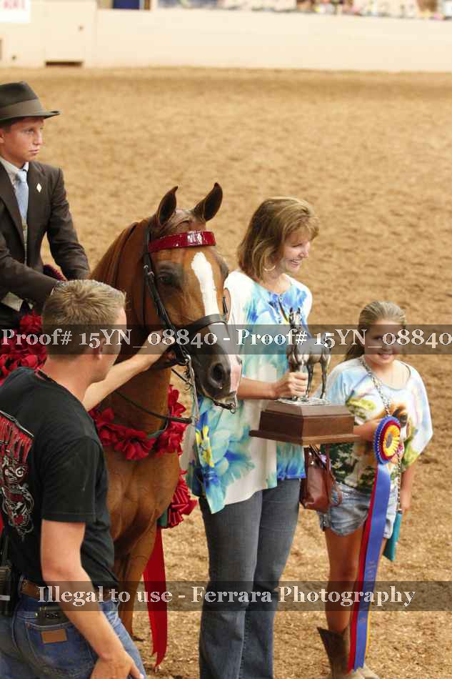 Proof 15YN_08840