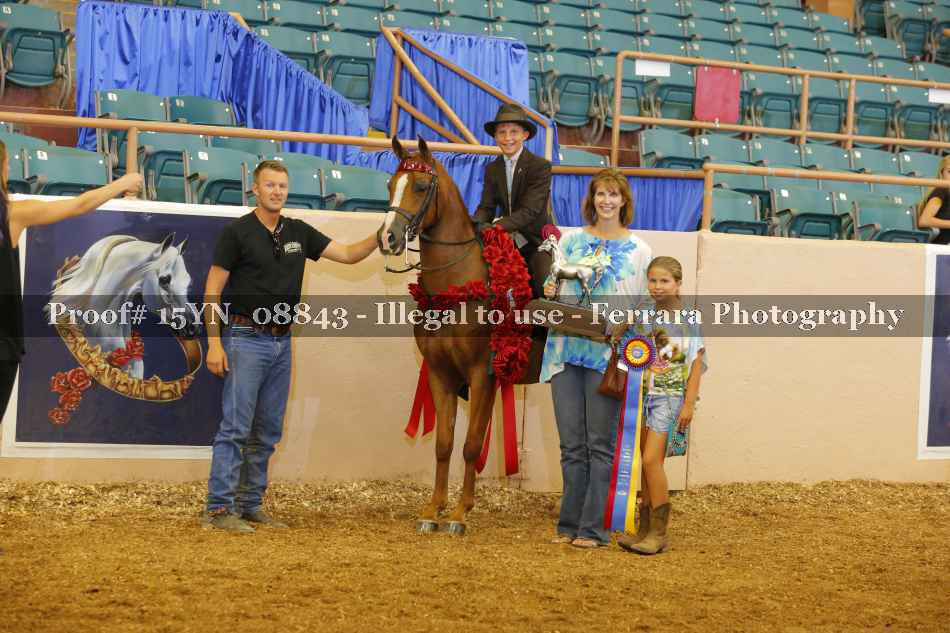 Proof 15YN_08843