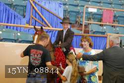 15YN_08844 proof