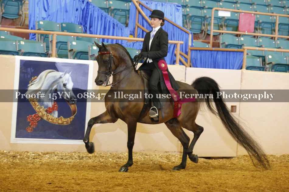 Proof 15YN_08847