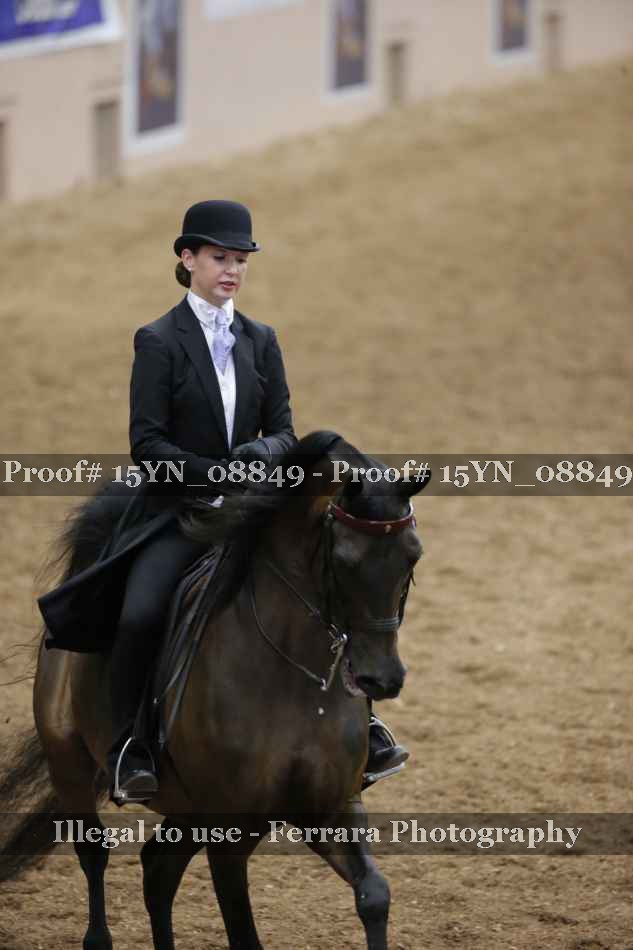 Proof 15YN_08849