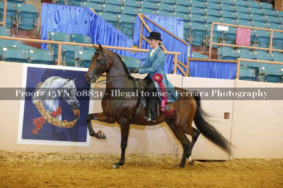 Proof 15YN_08851