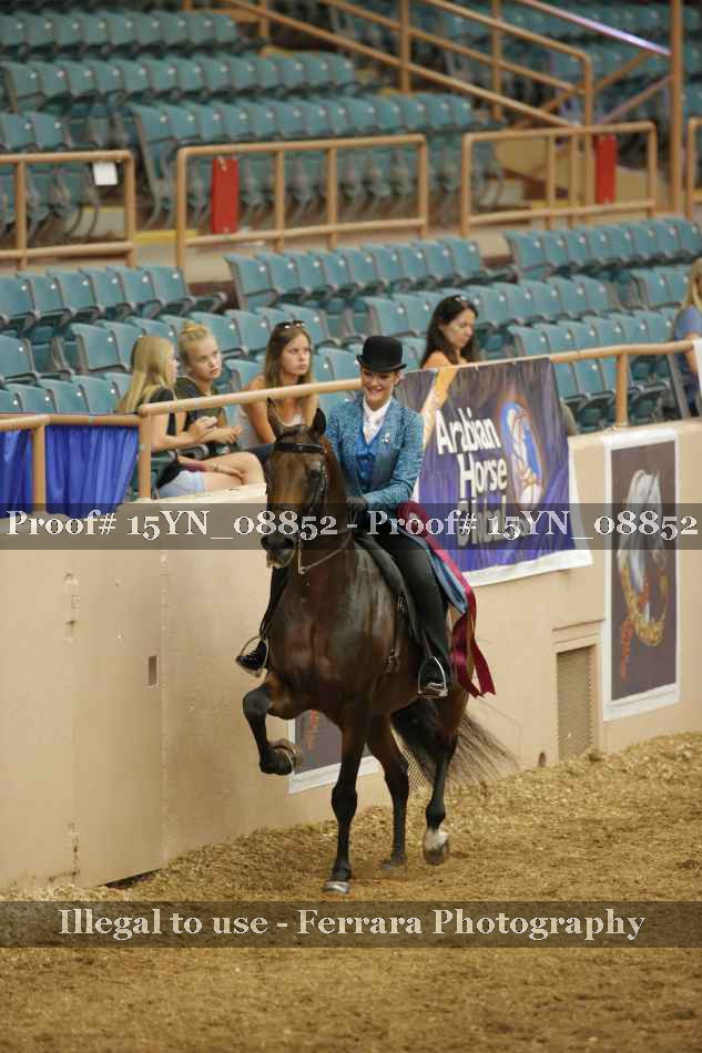 Proof 15YN_08852