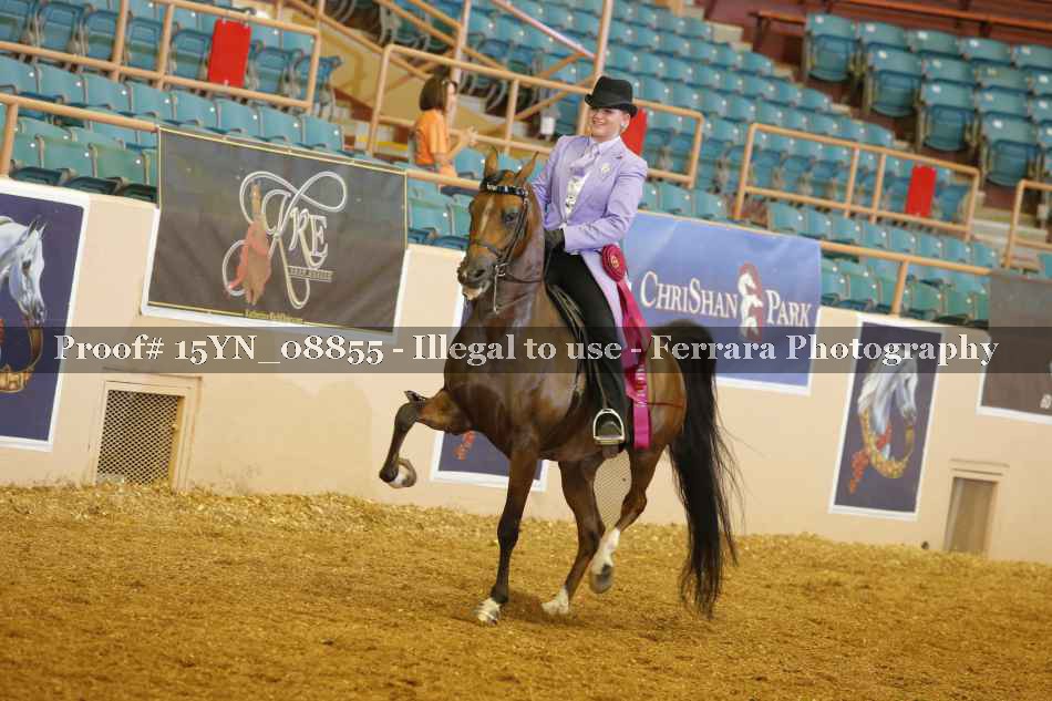 Proof 15YN_08855