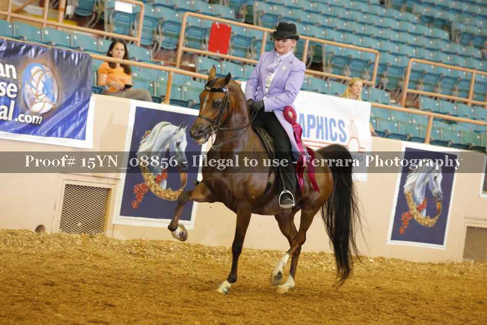 Proof 15YN_08856