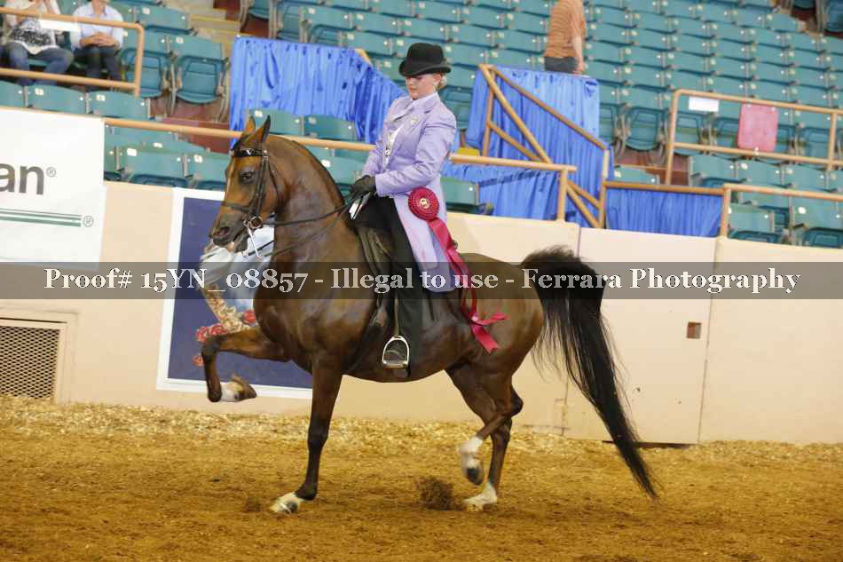 Proof 15YN_08857