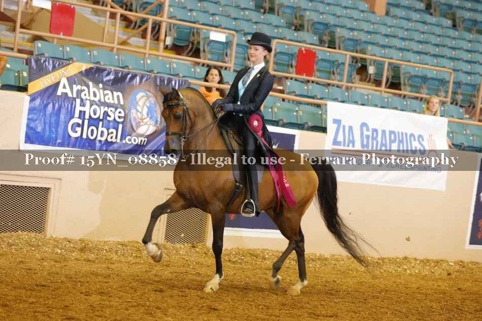 Proof 15YN_08858