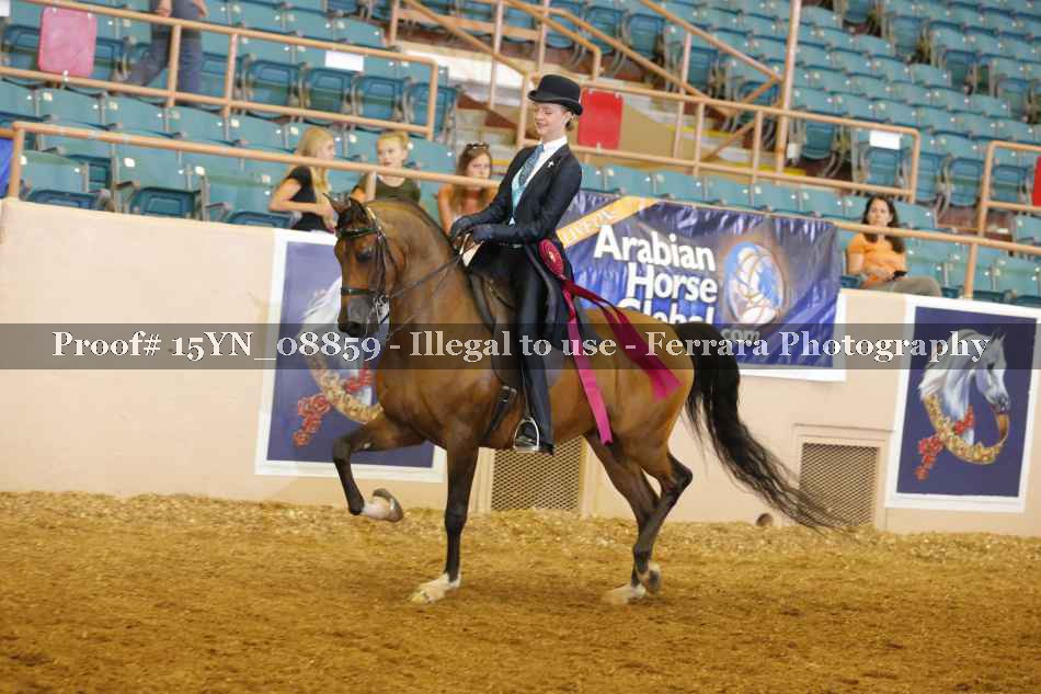 Proof 15YN_08859