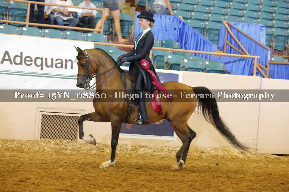 Proof 15YN_08860
