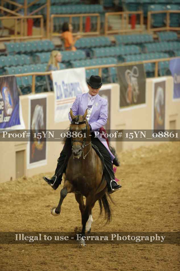 Proof 15YN_08861
