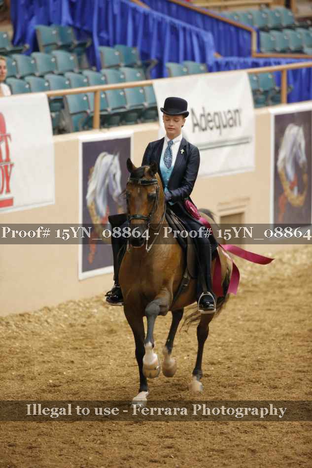 Proof 15YN_08864