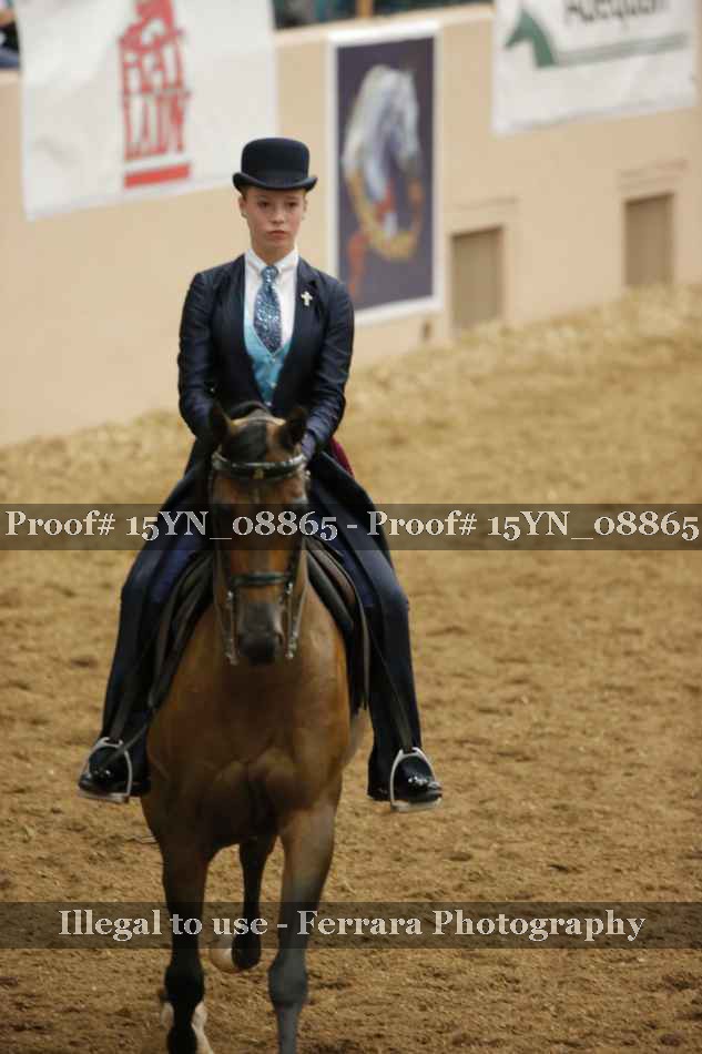 Proof 15YN_08865