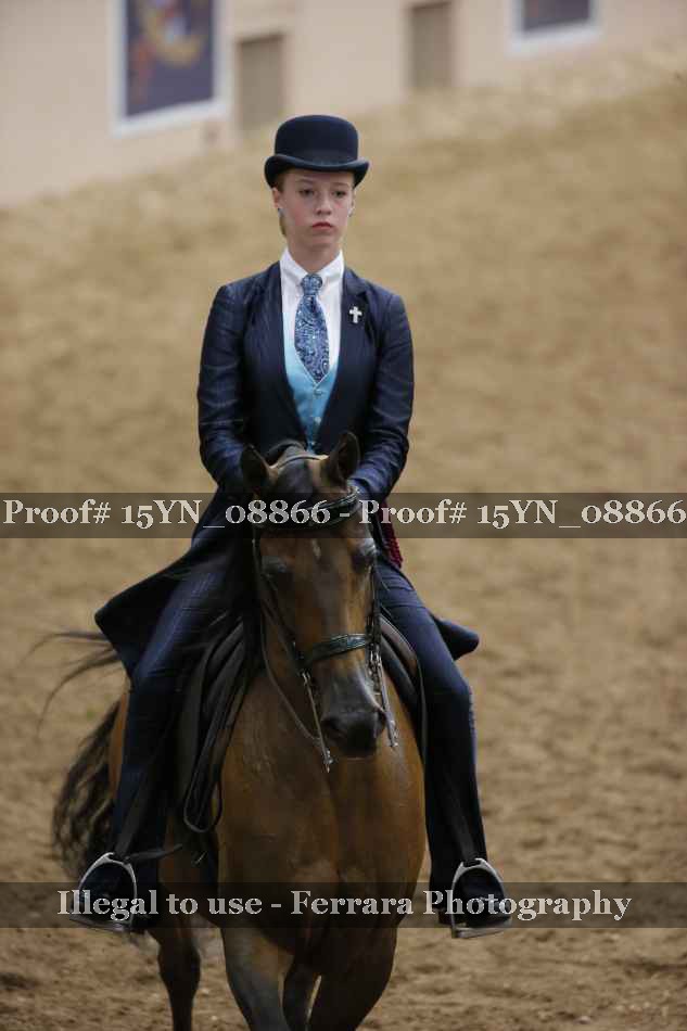 Proof 15YN_08866