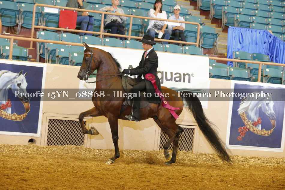 Proof 15YN_08868