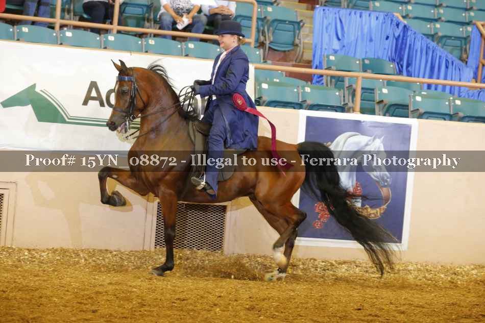Proof 15YN_08872