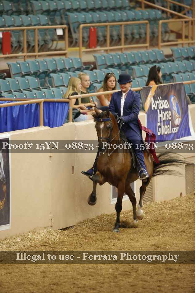 Proof 15YN_08873