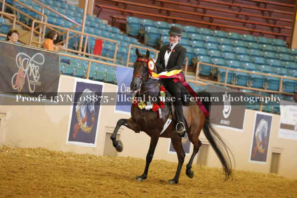 Proof 15YN_08875