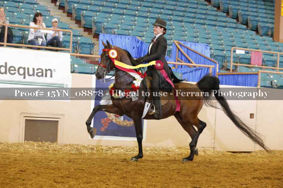 Proof 15YN_08878