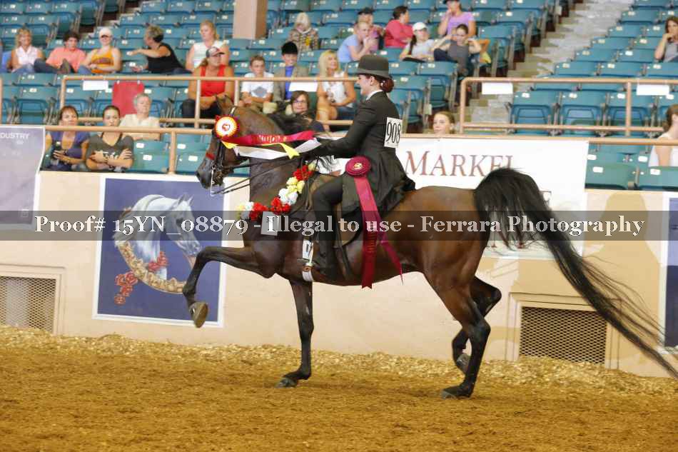Proof 15YN_08879