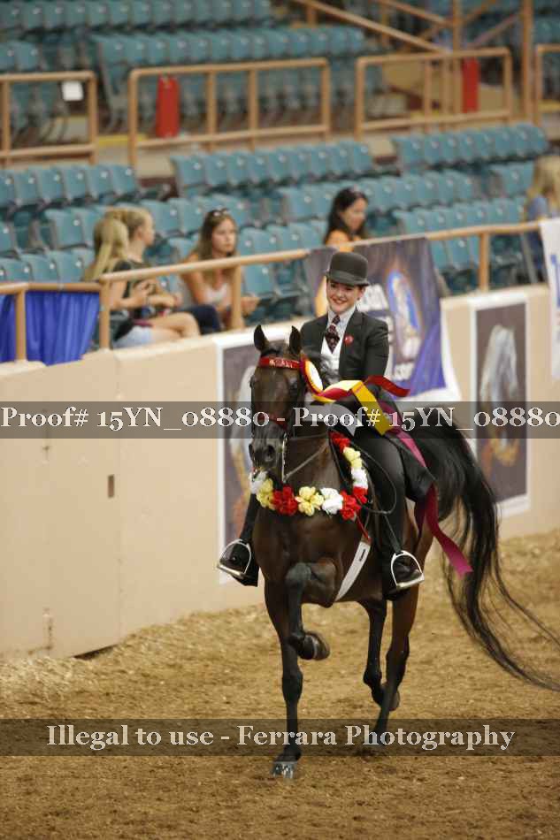 Proof 15YN_08880