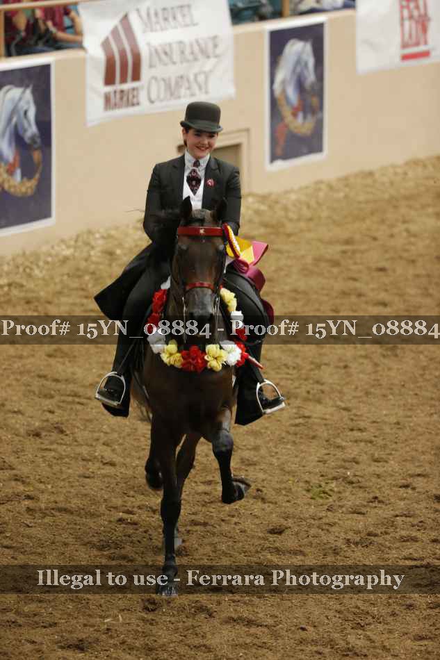 Proof 15YN_08884