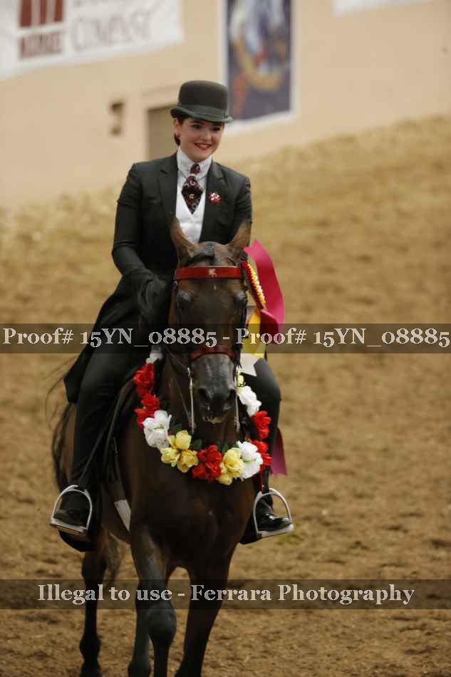 Proof 15YN_08885