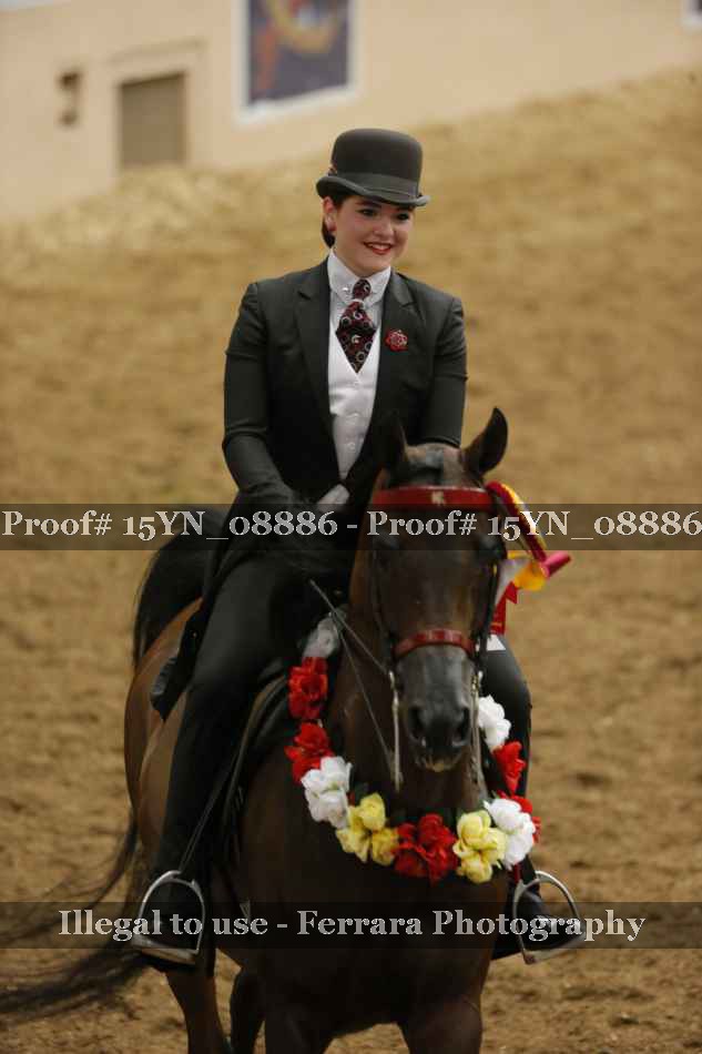 Proof 15YN_08886