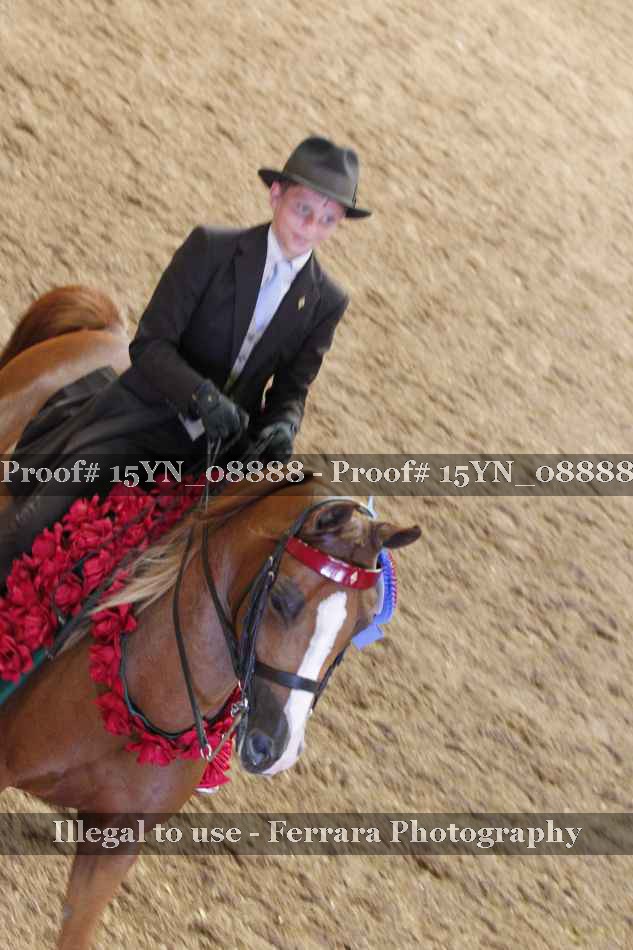 Proof 15YN_08888