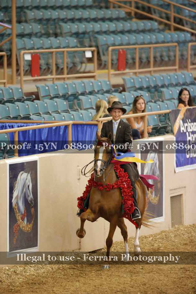 Proof 15YN_08890